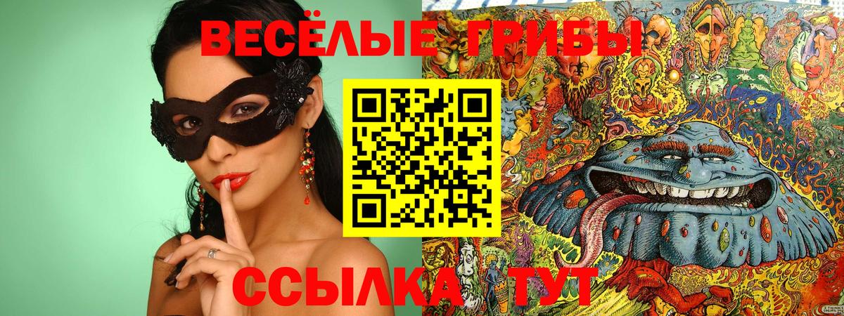 Псилоцибиновые грибы Cubensis Севастополь