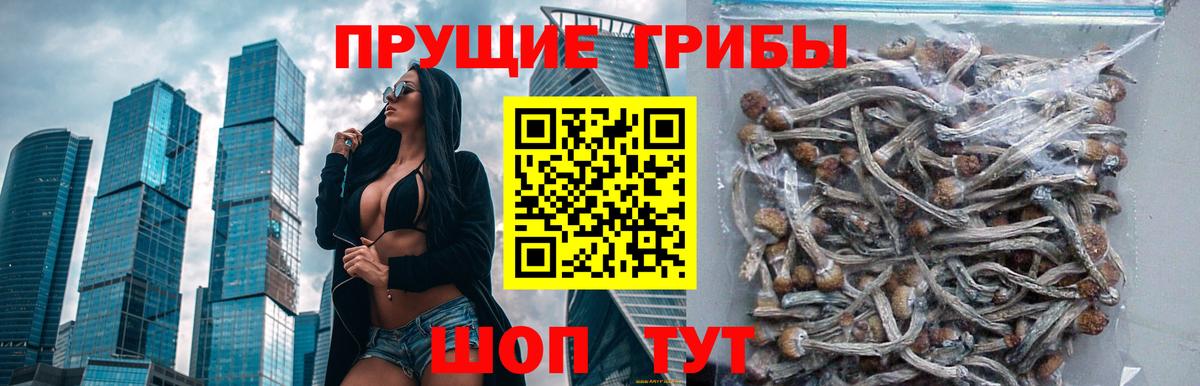 Псилоцибиновые грибы Psilocybe  Галлюциногенные грибы мицелий  наркошоп  Севастополь  Вход с VPN 